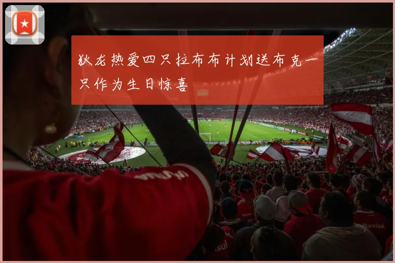 狄龙热爱四只拉布布计划送布克一只作为生日惊喜
