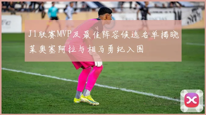 J1联赛MVP及最佳阵容候选名单揭晓莱奥塞阿拉与相马勇纪入围