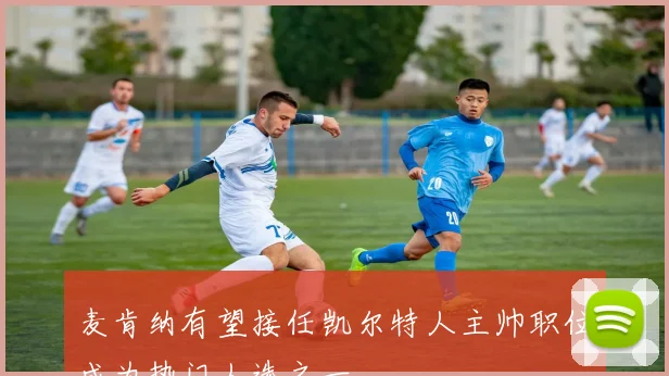 麦肯纳有望接任凯尔特人主帅职位成为热门人选之一